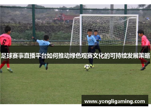 足球赛事直播平台如何推动绿色观赛文化的可持续发展策略