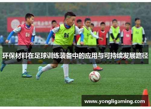 环保材料在足球训练装备中的应用与可持续发展路径